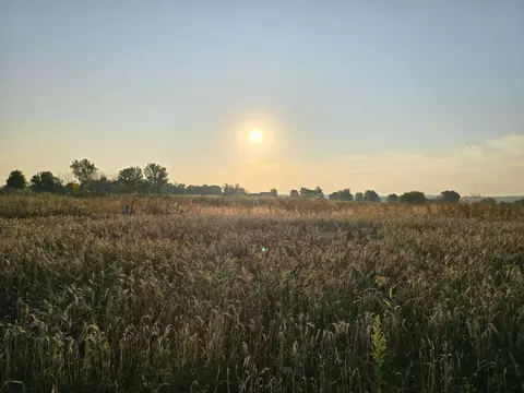 jaclyn lane, Greenville, WI 54942