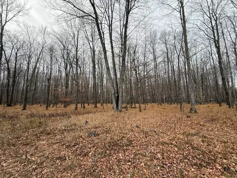 Gregerson Lane, Menominee, MI 49858