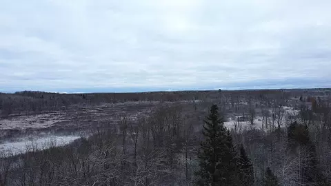 22491 Mackenberg Rd, Glidden, WI 54527 photo 7