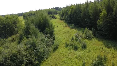 22491 Mackenberg Rd, Glidden, WI 54527 photo 5