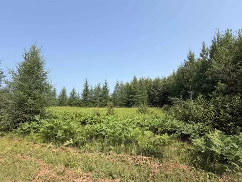 22491 Mackenberg Rd, Glidden, WI 54527 photo 12