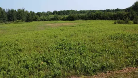 22491 Mackenberg Rd, Glidden, WI 54527 photo 7