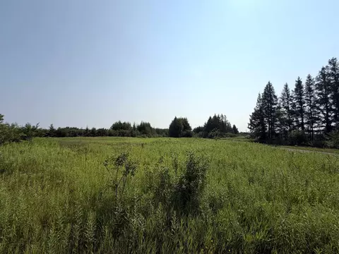 22491 Mackenberg Rd, Glidden, WI 54527 photo 1