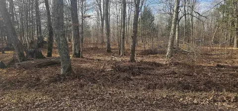chip n dale drive, Pickerel, WI 54465