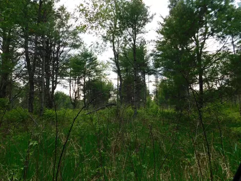 w606 Joe Johnson Road, Suring, WI 54174 photo 57