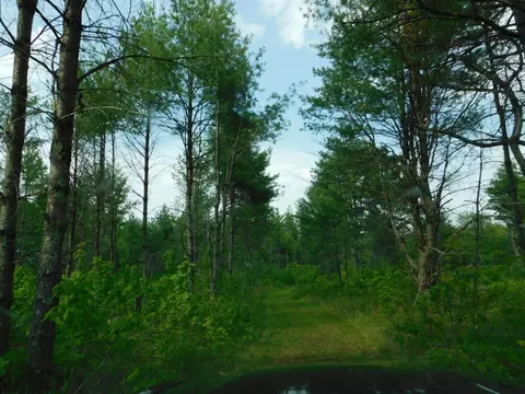 w606 Joe Johnson Road, Suring, WI 54174 photo 7