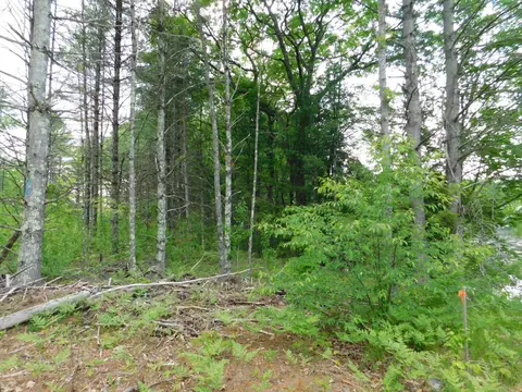 w606 Joe Johnson Road, Suring, WI 54174 photo 46