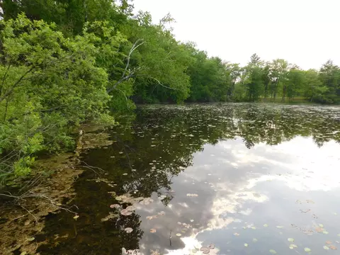 w606 Joe Johnson Road, Suring, WI 54174 photo 50