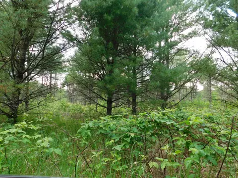 w606 Joe Johnson Road, Suring, WI 54174 photo 56
