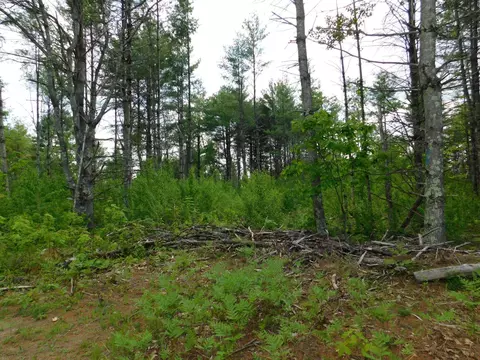 w606 Joe Johnson Road, Suring, WI 54174 photo 47