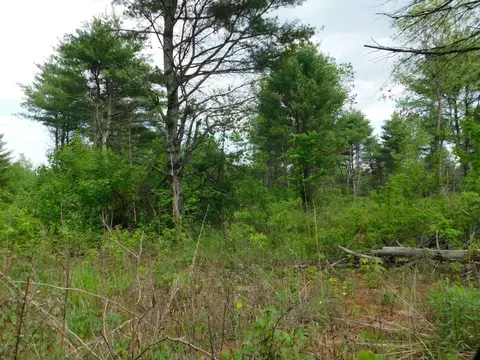 w606 Joe Johnson Road, Suring, WI 54174 photo 40