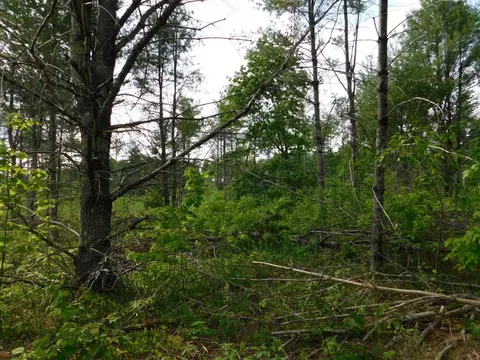 w606 Joe Johnson Road, Suring, WI 54174 photo 39