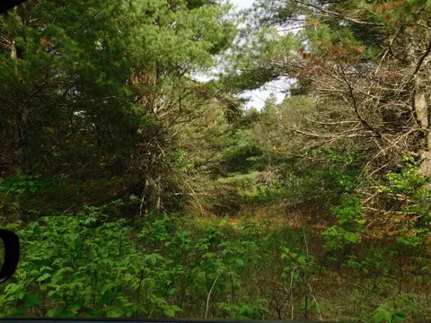 w606 Joe Johnson Road, Suring, WI 54174 photo 33