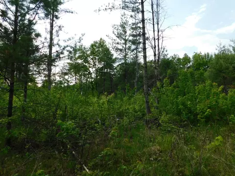 w606 Joe Johnson Road, Suring, WI 54174 photo 43