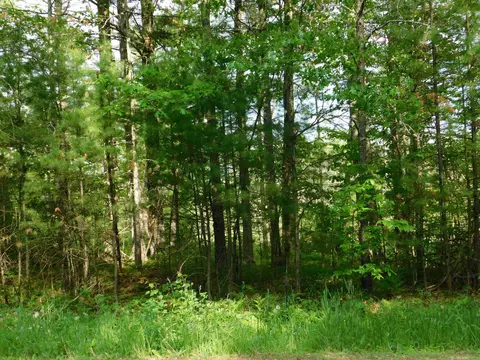 w606 Joe Johnson Road, Suring, WI 54174 photo 18