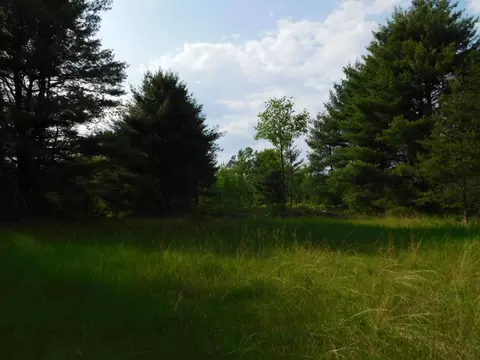 w606 Joe Johnson Road, Suring, WI 54174 photo 32