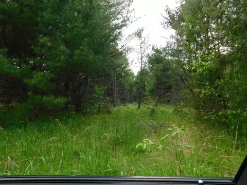 w606 Joe Johnson Road, Suring, WI 54174 photo 59