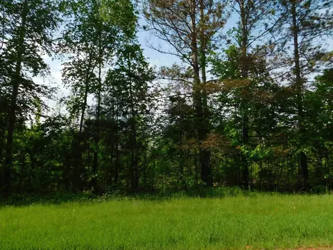 w606 Joe Johnson Road, Suring, WI 54174 photo 22