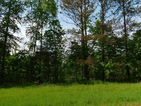 w606 Joe Johnson Road, Suring, WI 54174 photo 23