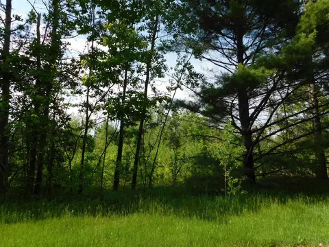 w606 Joe Johnson Road, Suring, WI 54174 photo 24