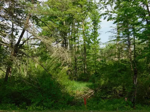 w606 Joe Johnson Road, Suring, WI 54174 photo 19