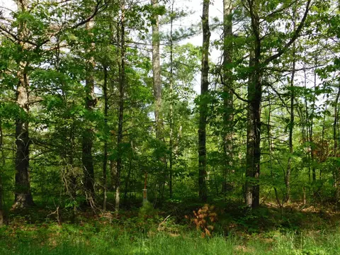 w606 Joe Johnson Road, Suring, WI 54174 photo 17
