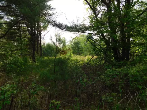 w606 Joe Johnson Road, Suring, WI 54174 photo 6