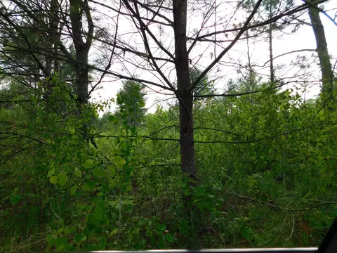 w606 Joe Johnson Road, Suring, WI 54174 photo 54