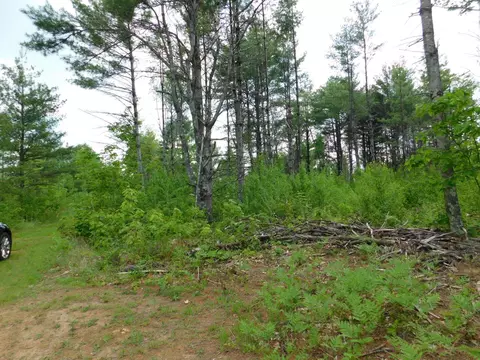 w606 Joe Johnson Road, Suring, WI 54174 photo 48