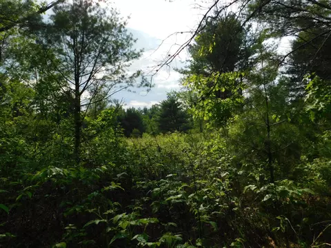 w606 Joe Johnson Road, Suring, WI 54174 photo 34