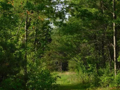 w606 Joe Johnson Road, Suring, WI 54174 photo 26