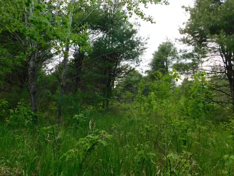 w606 Joe Johnson Road, Suring, WI 54174 photo 58