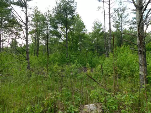 w606 Joe Johnson Road, Suring, WI 54174 photo 41