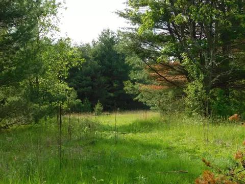 w606 Joe Johnson Road, Suring, WI 54174 photo 30