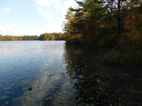 w606 Joe Johnson Road, Suring, WI 54174 photo 63