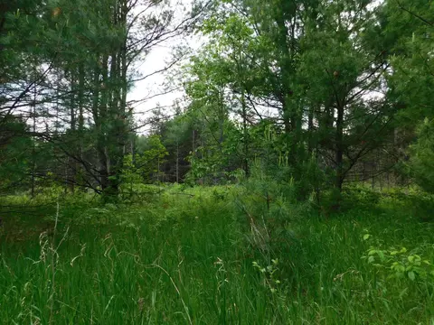 w606 Joe Johnson Road, Suring, WI 54174 photo 60