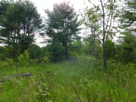 w606 Joe Johnson Road, Suring, WI 54174 photo 36