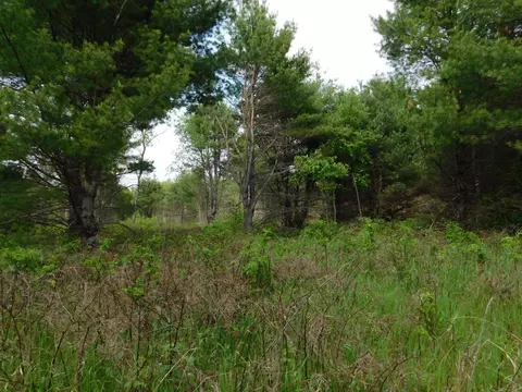 w606 Joe Johnson Road, Suring, WI 54174 photo 37