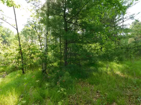 w606 Joe Johnson Road, Suring, WI 54174 photo 27