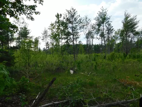 w606 Joe Johnson Road, Suring, WI 54174 photo 8