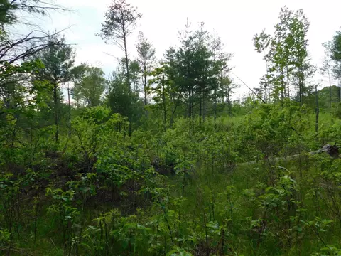 w606 Joe Johnson Road, Suring, WI 54174 photo 38