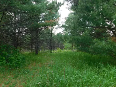 w606 Joe Johnson Road, Suring, WI 54174 photo 61