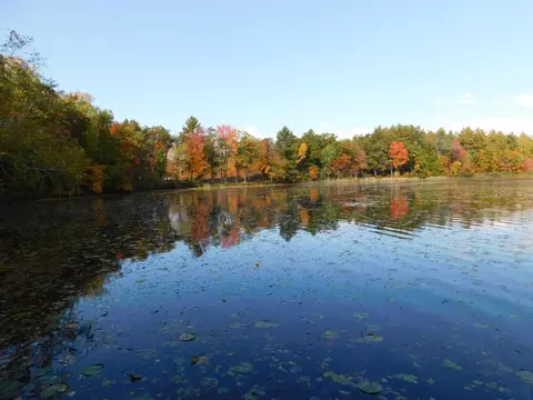 w606 Joe Johnson Road, Suring, WI 54174 photo 3