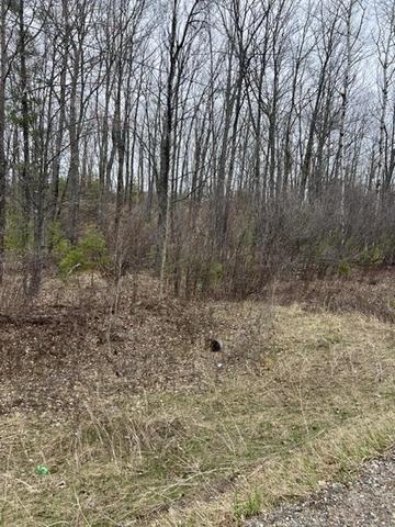 One Mile Road, Dunbar, WI 54119