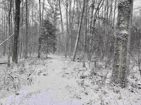 hydro road, Crivitz, WI 54114 photo 10