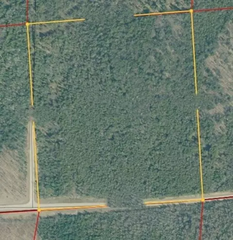 County 366 Road, Cedar River, MI 49887