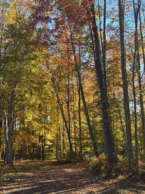 Other - 15744 Double B Ln, Mountain, WI 54149 photo 11 of 13