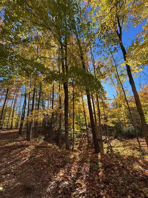 Other - 15744 Double B Ln, Mountain, WI 54149 photo 10 of 13