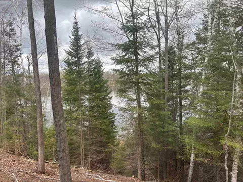 View/Area - 15744 Double B Ln, Mountain, WI 54149 photo 7 of 15