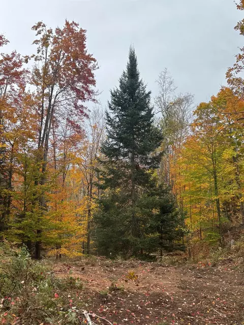 Other - 15744 Double B Ln, Mountain, WI 54149 photo 12 of 13